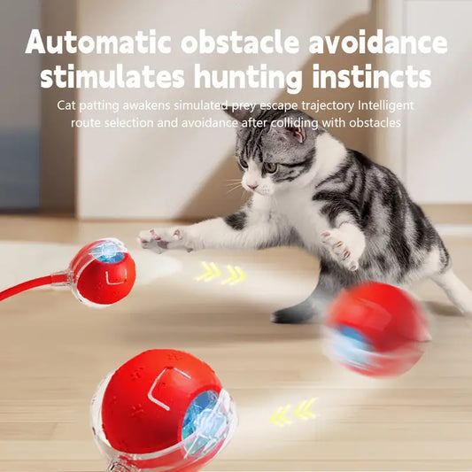 Interactive Cat Ball Toy With Bird Chirping Sound and Tail